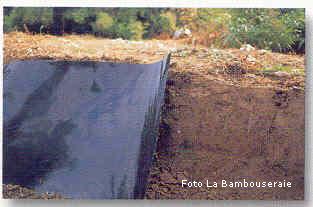 bambù, barriere anntirizomi bambù